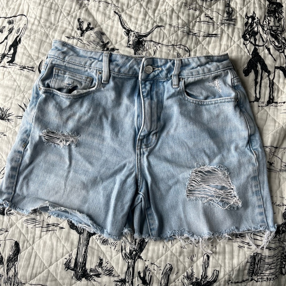 Pacsun Shorts